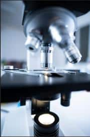 Microscope used for semen analysis